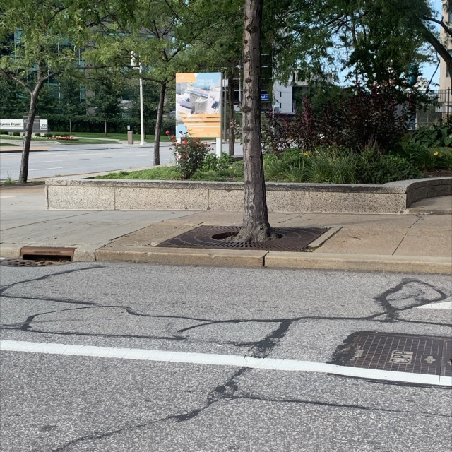 Spot #27220