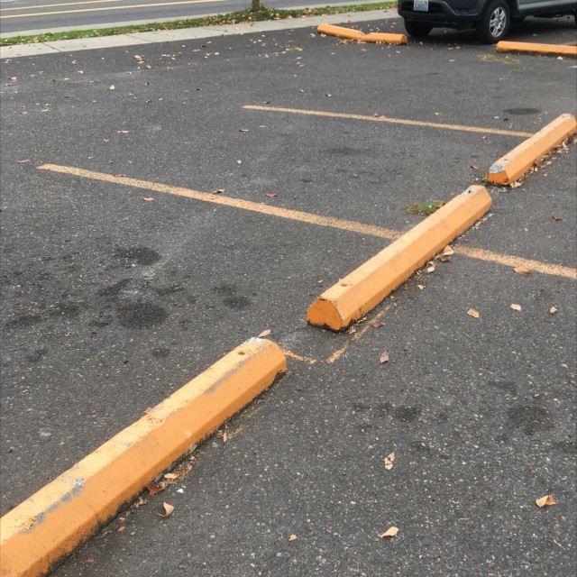 Fun curve thingies