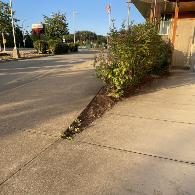 Spot #42867