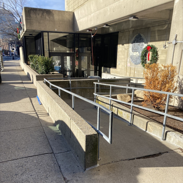 Ledge rail