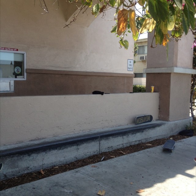 Cvs ledge
