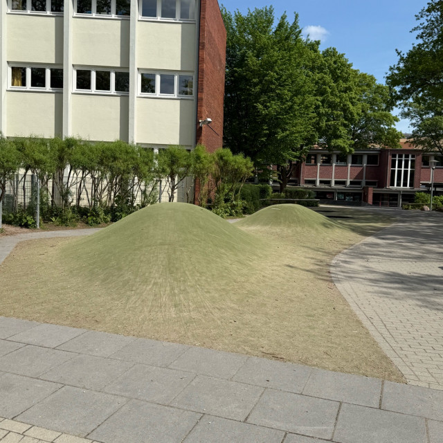 School Rotherbaum