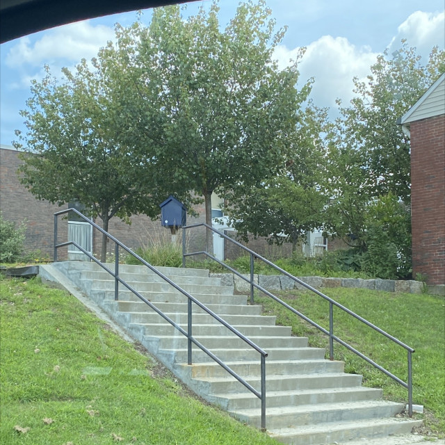 Spot #27247