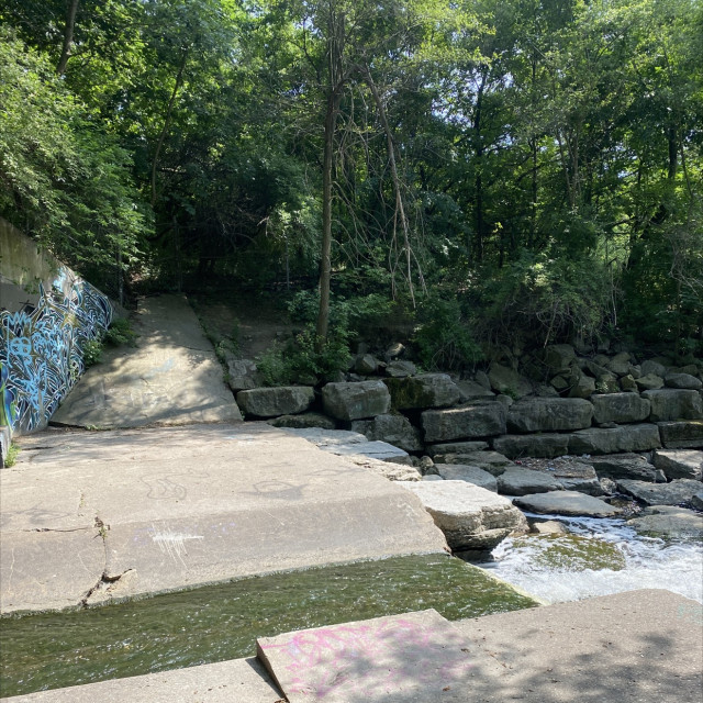 Spot #26252