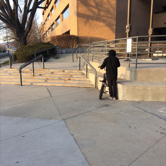 Ledge rail