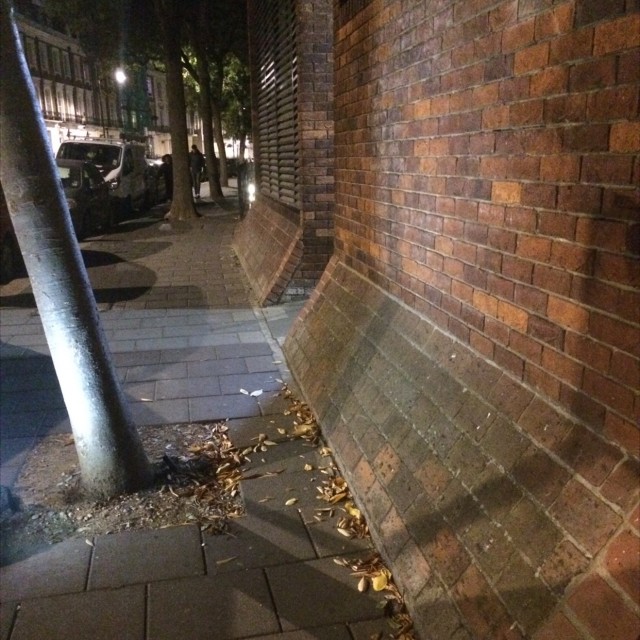Spot #8144