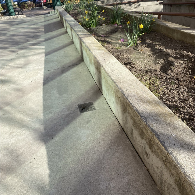 Downtown Kelowna courthouse ledge 