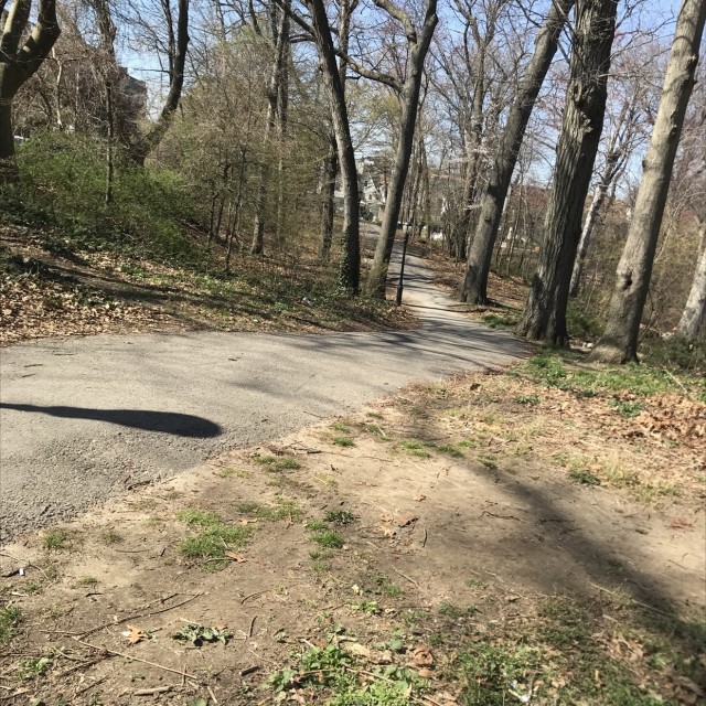 Hill