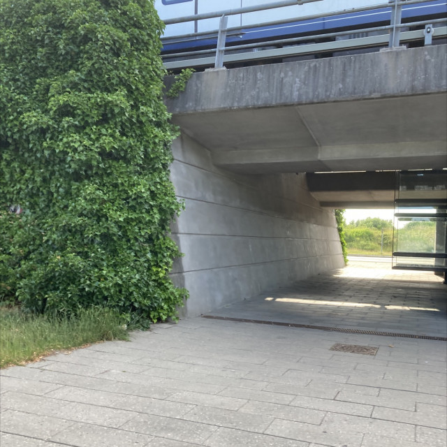 Spot #31987