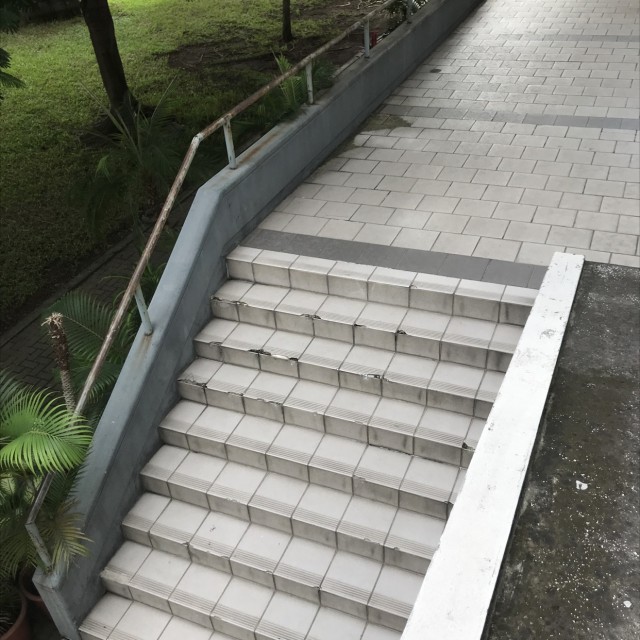 Escaleras y rail de las cámaras 