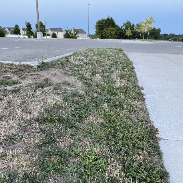 Another grass gap