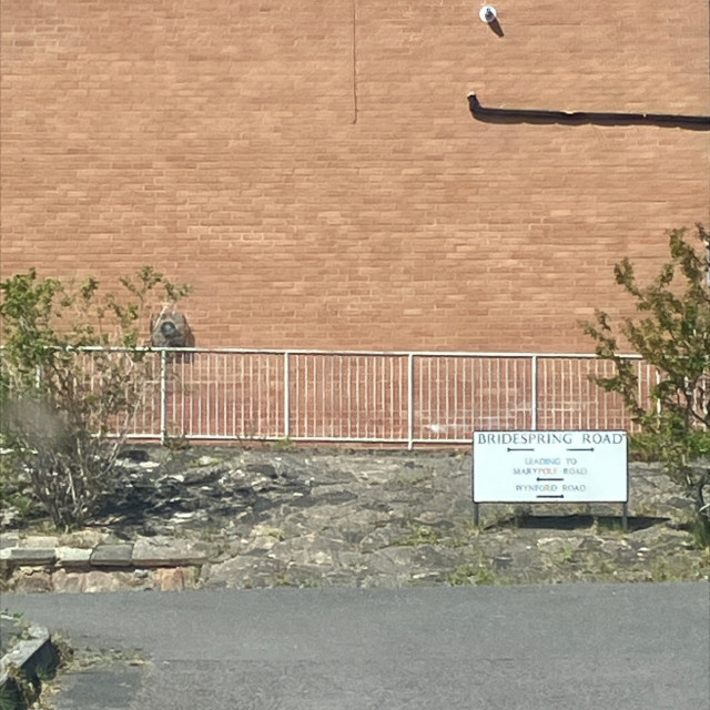Spot #52349