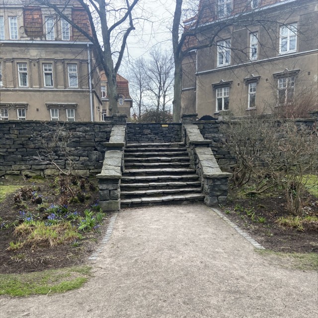 Spot #25286