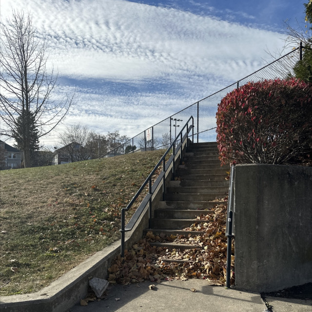 Roxbury YMCA Downrail
