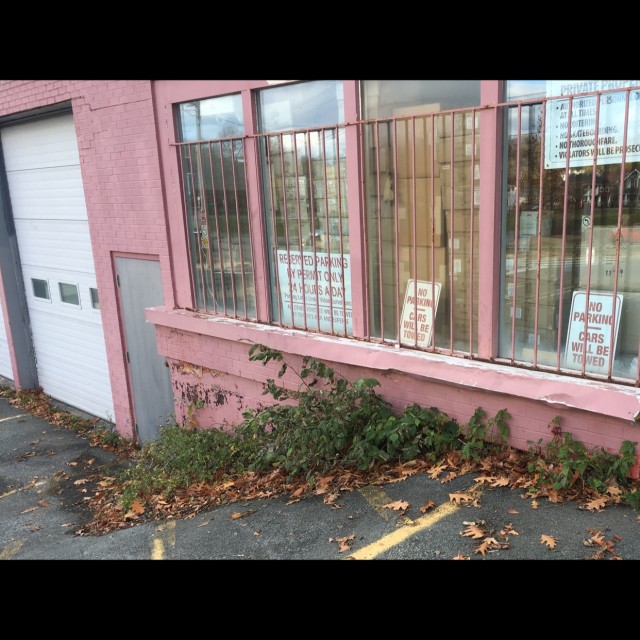 Spot #15142