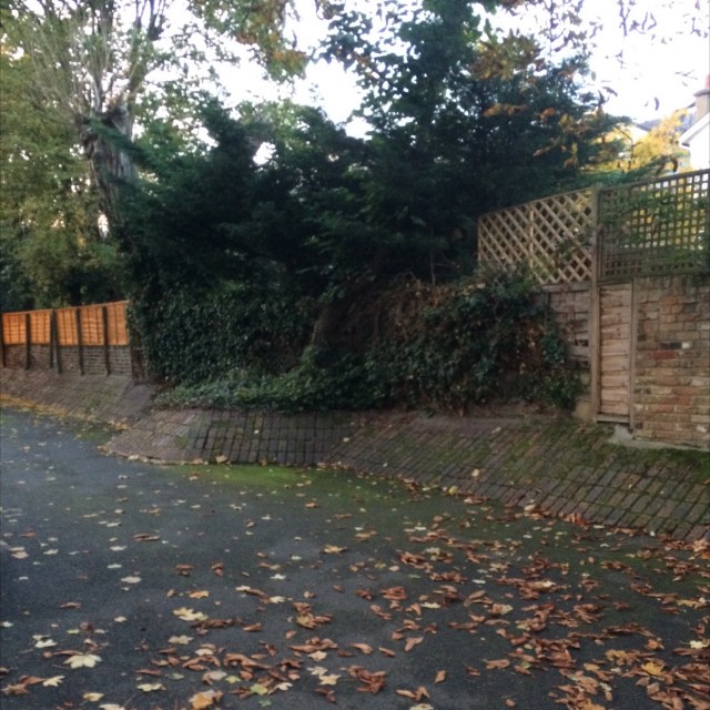 Spot #6393