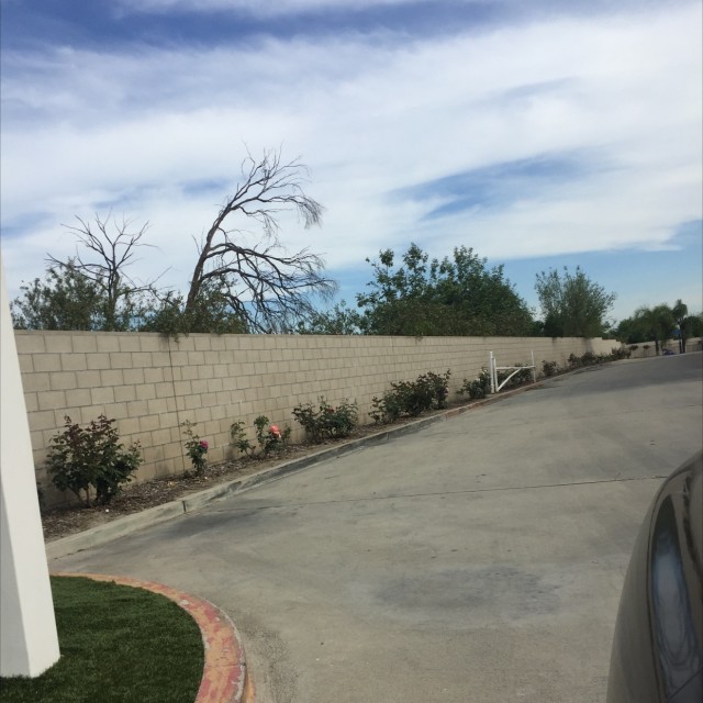 DIY skate park