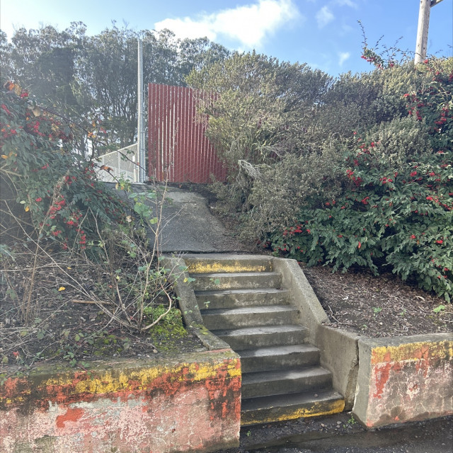 Spot #39954