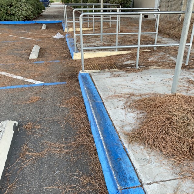 Manny pad and waxed curb 