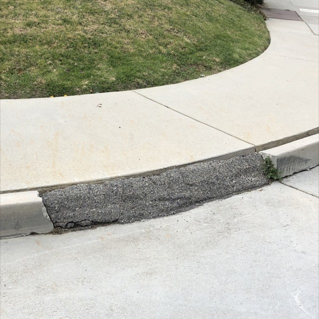 Small wallie 