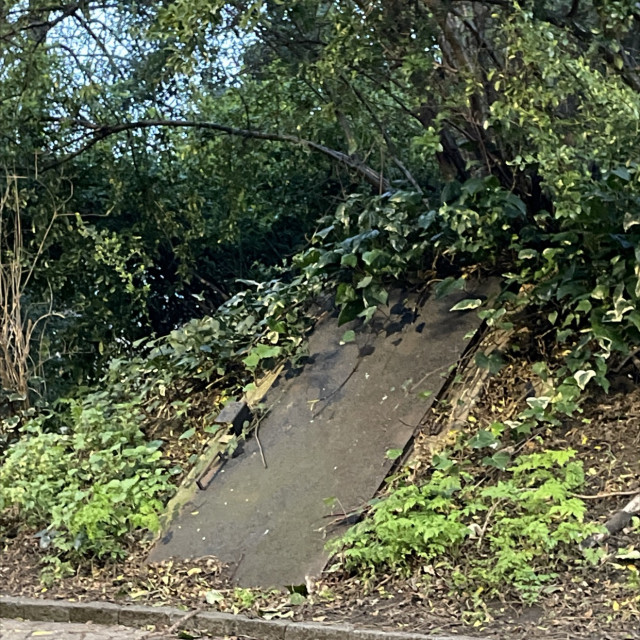 Spot #40335