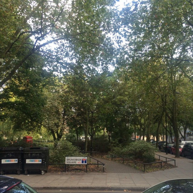 Spot #5657