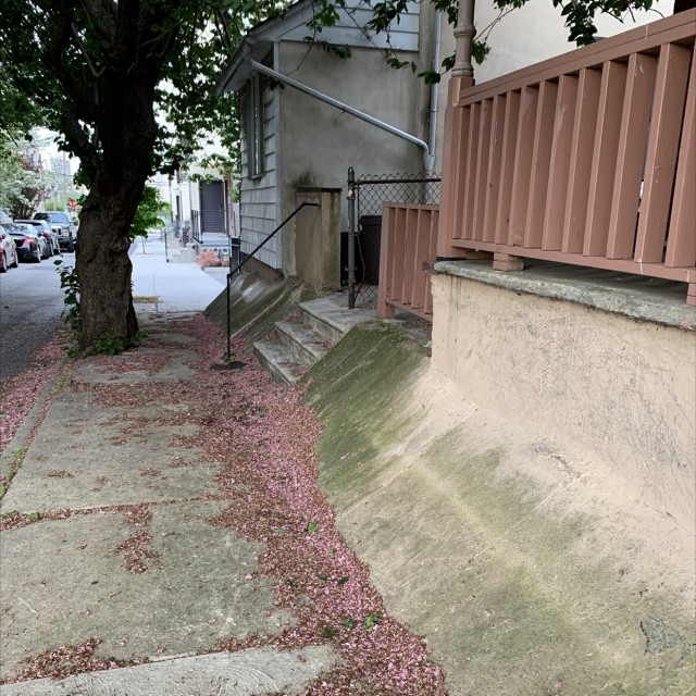 Spot #25222