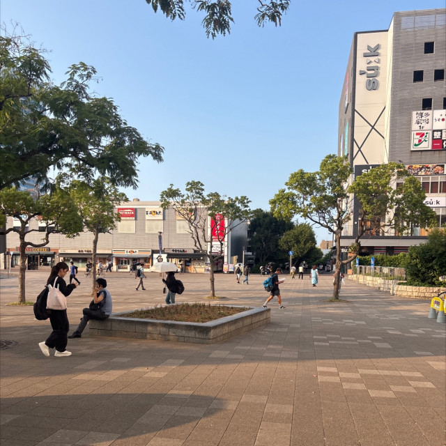 標準　レッジ