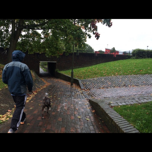 Spot #6175
