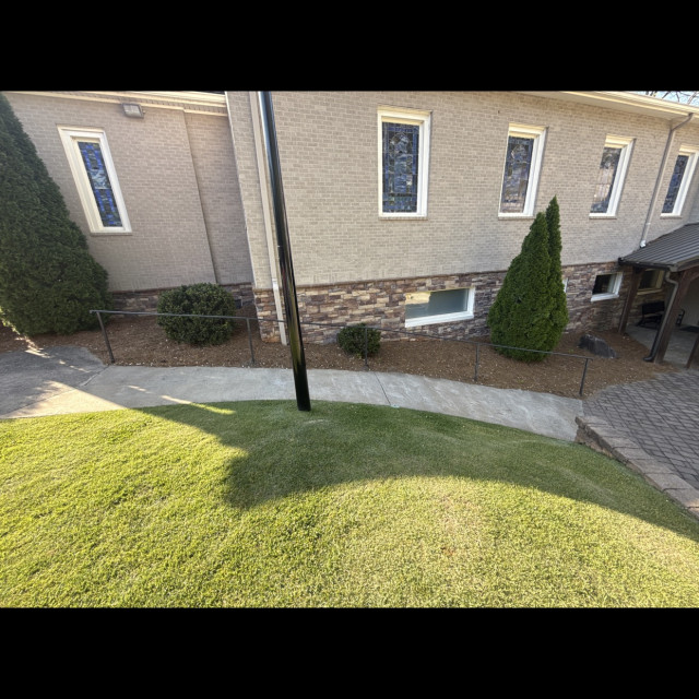 Spot #46741