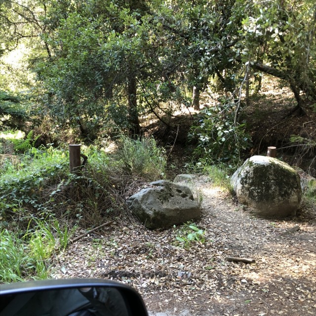 Gwin trail 