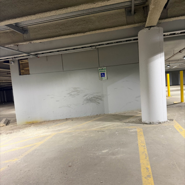 Spot #53096