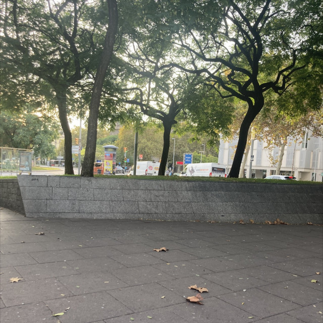 bank 