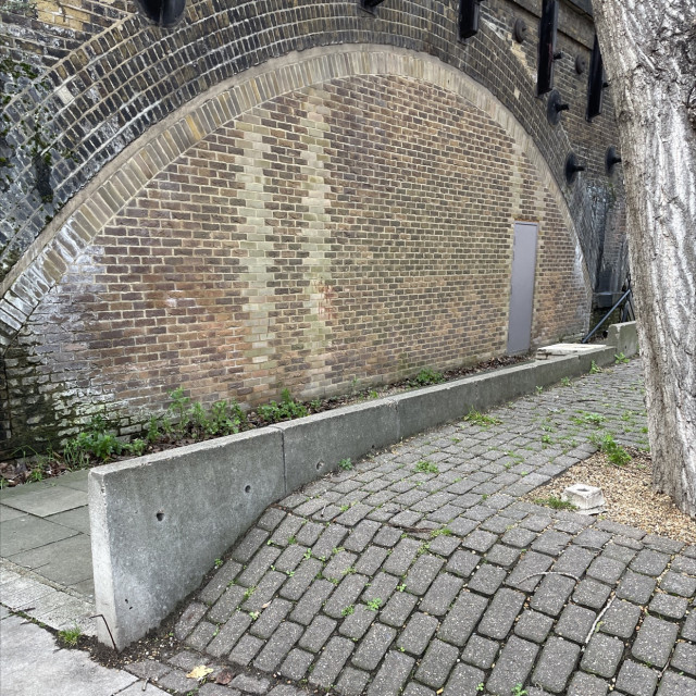 Spot #29354