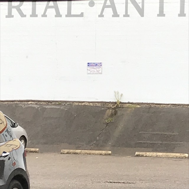 Bank