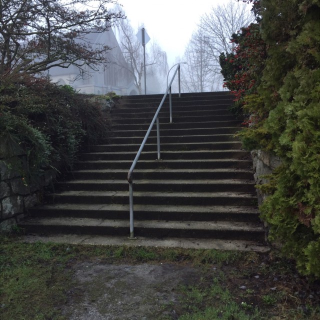 Rail 