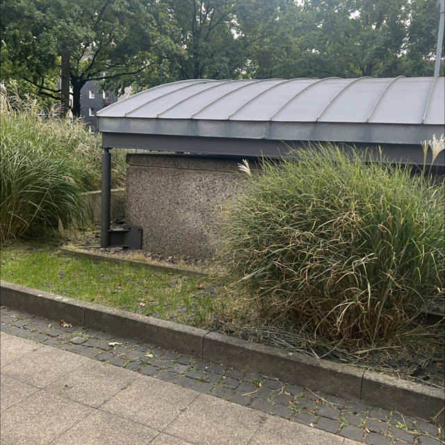 Spot #49749