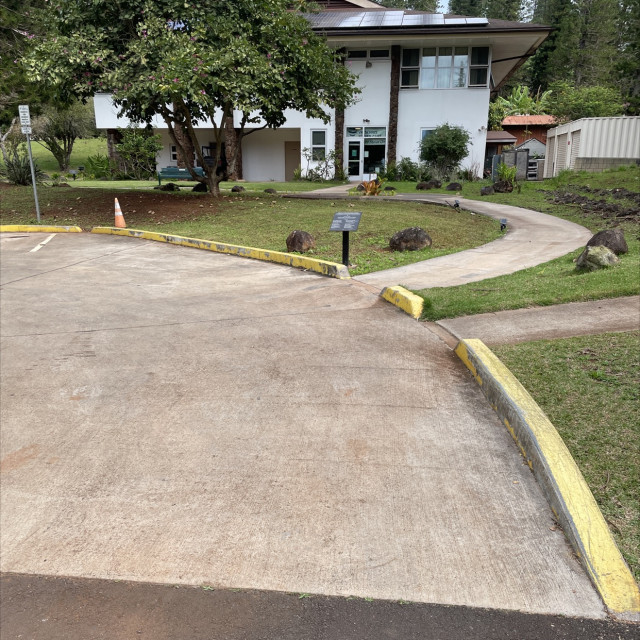 Hospital curbs