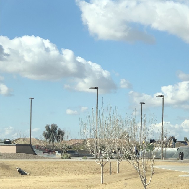 Oasis Park