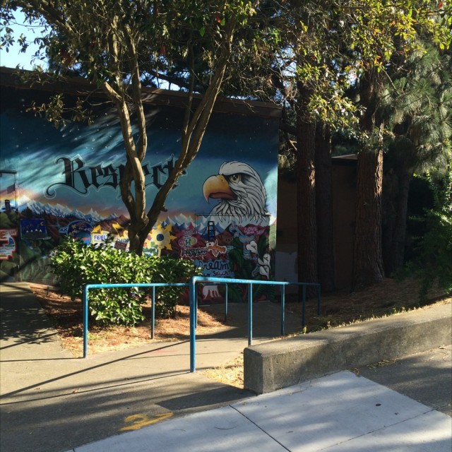 Handicap Rails