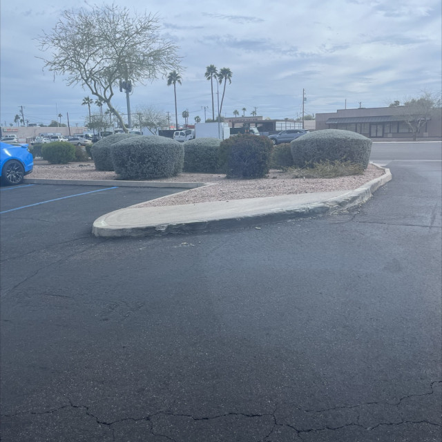 Fry’s pad