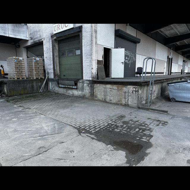 Spot #49702