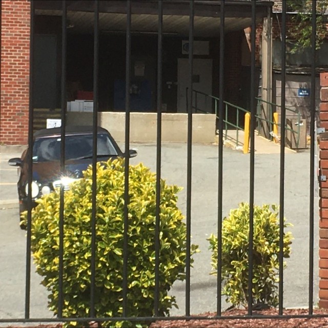 Spot #17155