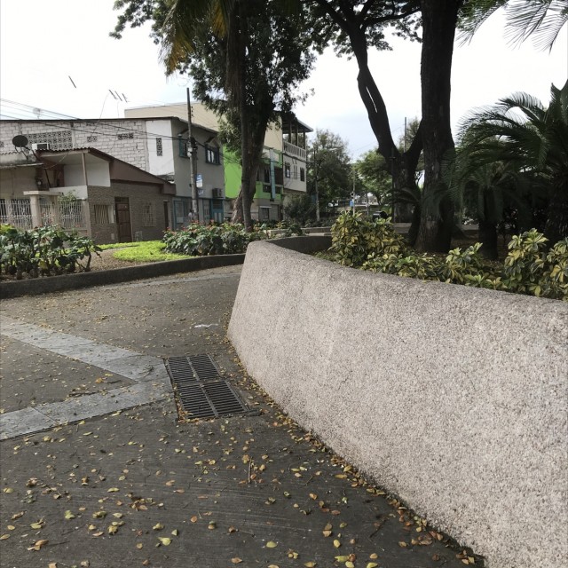 Wallrides 