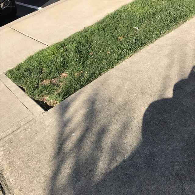 Gap