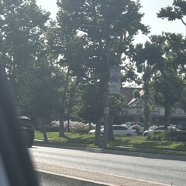 Spot #37514