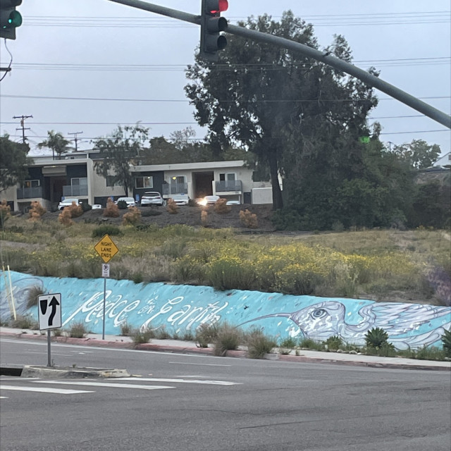 Bank spot 