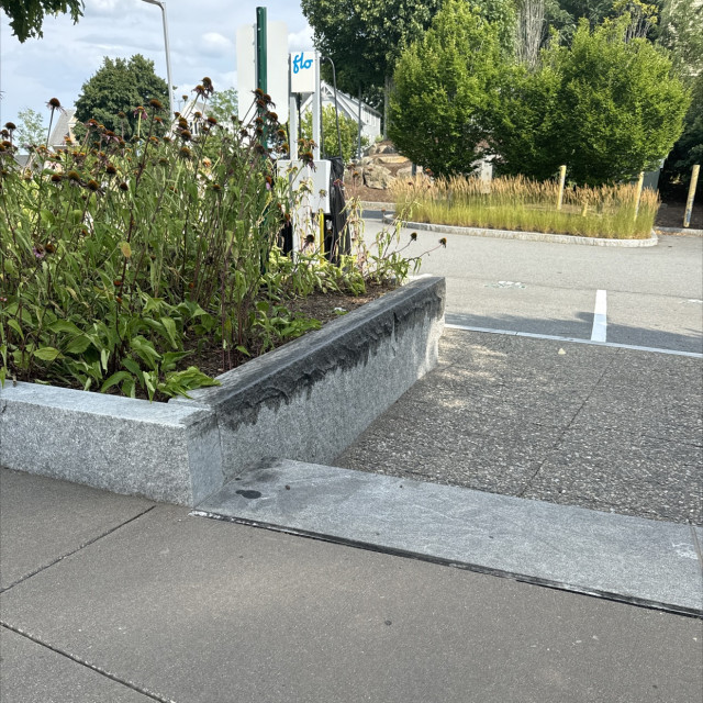 Spot #42548