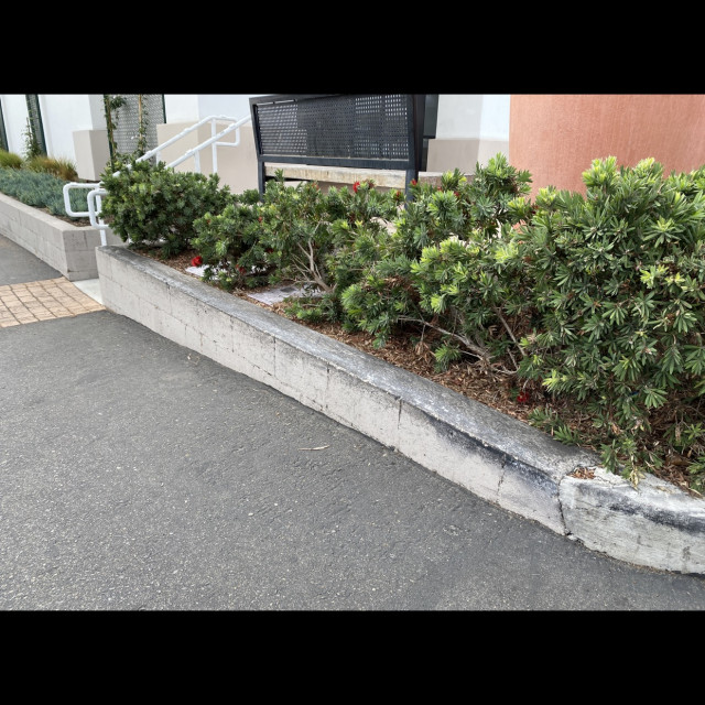 Sprouts Ledge