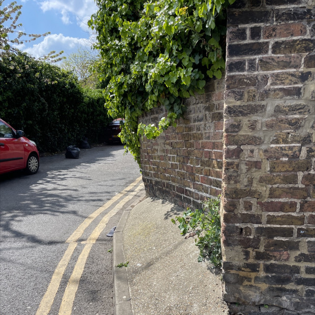 Spot #30834